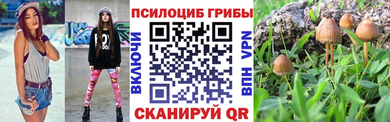 продажа наркотиков ссылка на мегу зеркало Галлюциногенные грибы мицелий Могоча