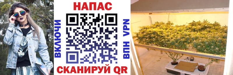 Бошки Шишки ГИДРОПОН Могоча